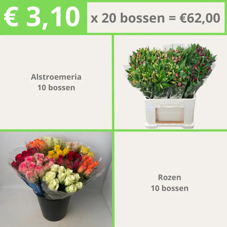 Alstroemeria 10 | Rozen 10