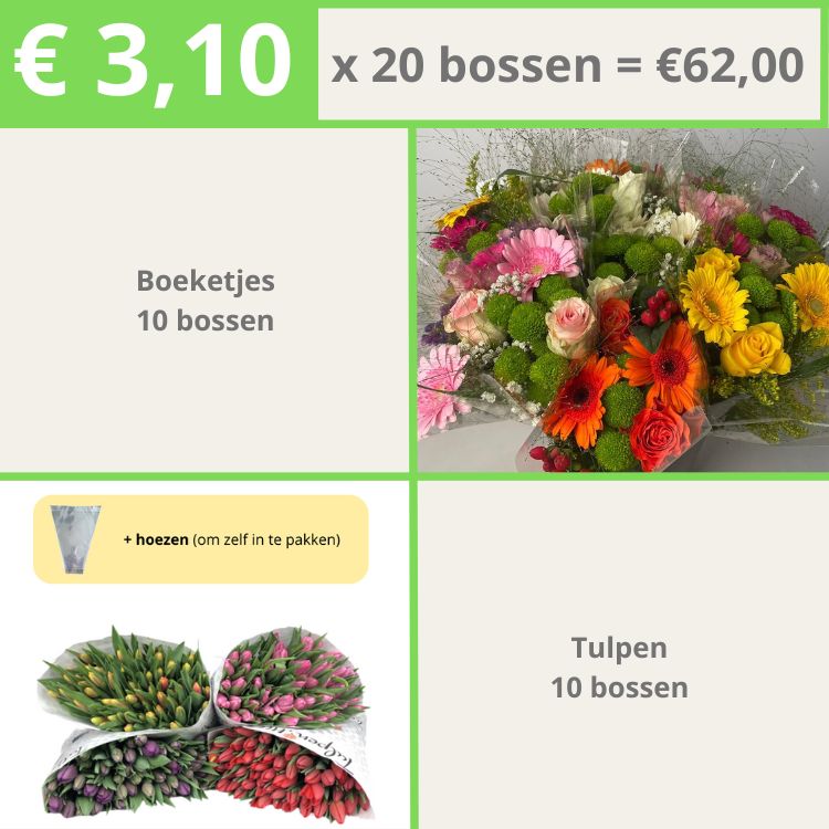 Tulpen 10 | Boeketjes 10