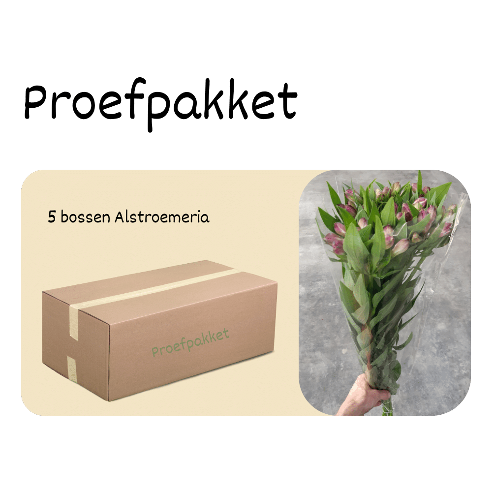 Proefpakket | 5 bossen x €3,50