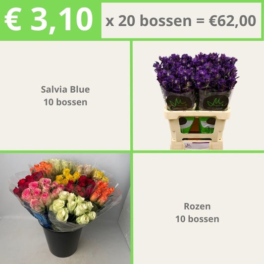 Salvia Blue 10 | Rozen 10