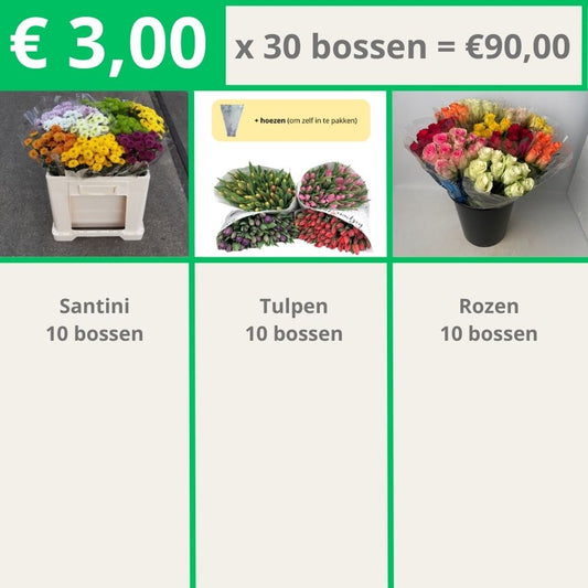 Santini 10 | Tulpen 10 | Rozen 10