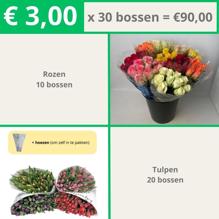 Tulpen 20 | Rozen 10